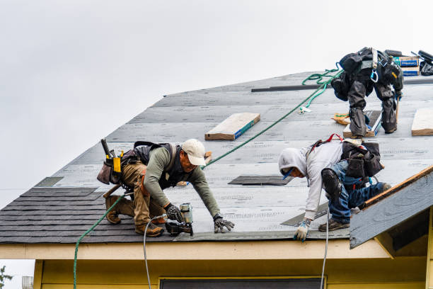 Professional Flat Roof Repair technician working in De Witt, IA